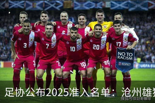 足协公布2025准入名单：沧州雄狮、广州队无缘